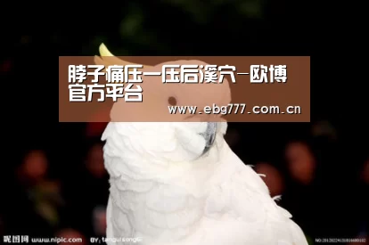 欧博官方平台
