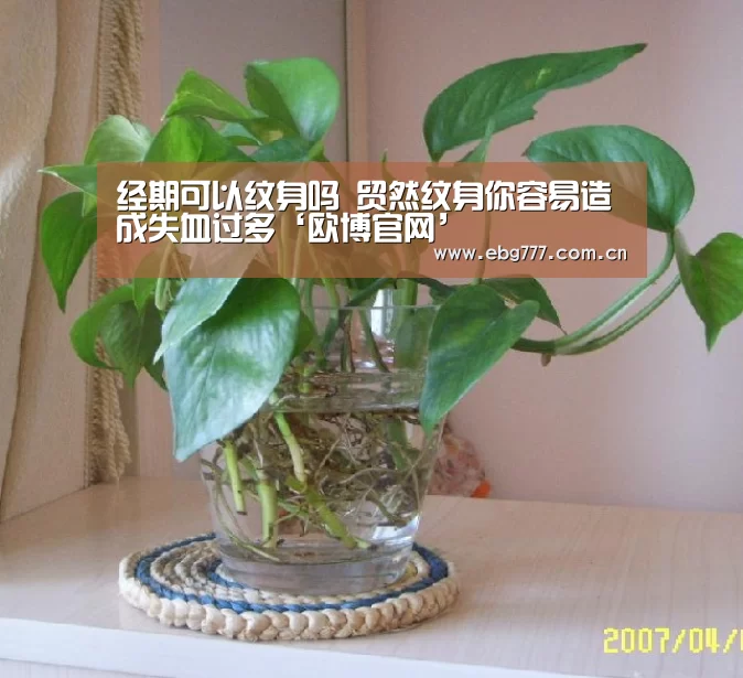 欧博登入